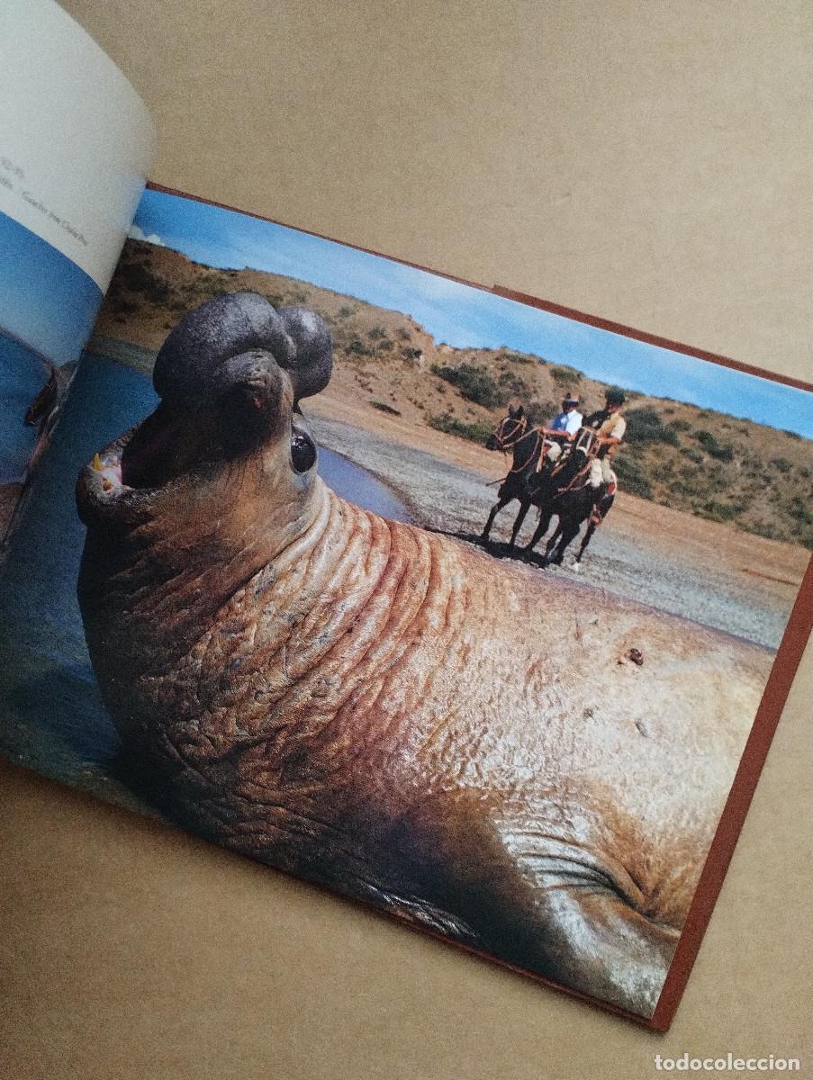 Libros de segunda mano: Gauchos Argentinos - Aldo Sessa - Foto 2