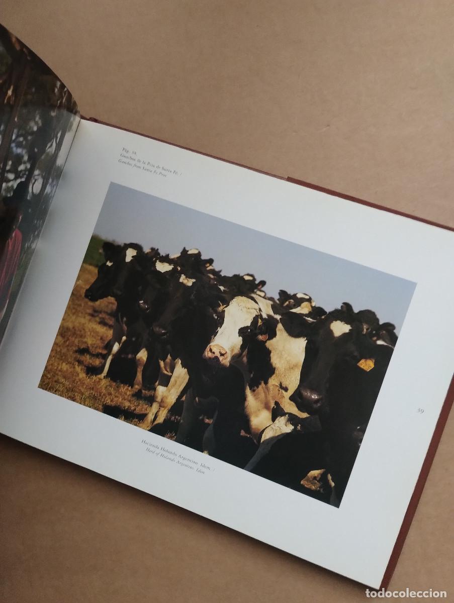 Libros de segunda mano: Gauchos Argentinos - Aldo Sessa - Foto 4