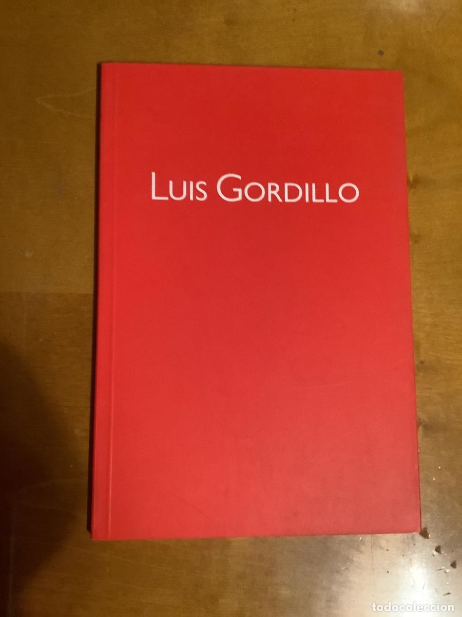 Libros de segunda mano: Luis Gordillo .Libro de Arte - Foto 1