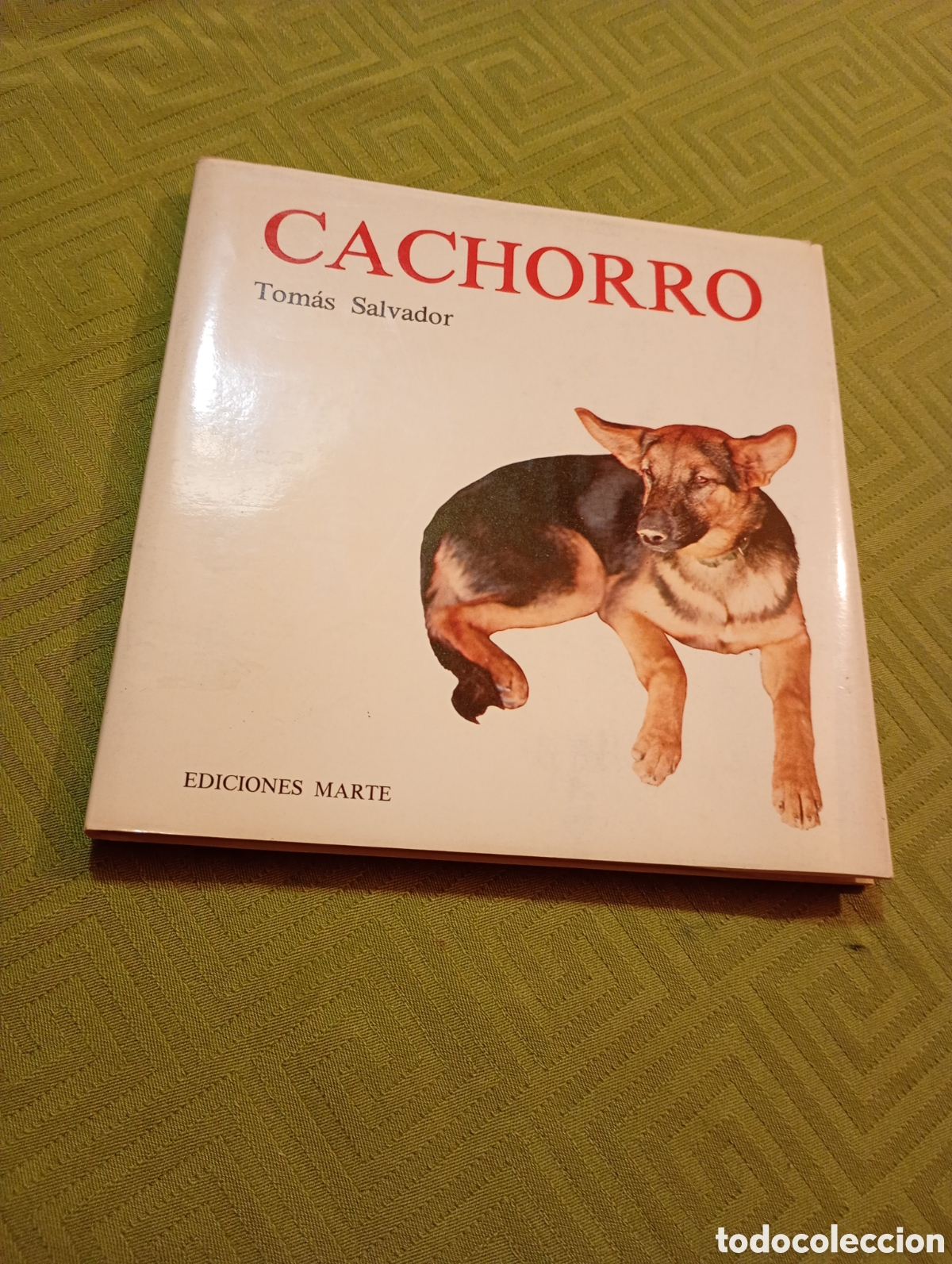 Libros de segunda mano: Cachorro Tom&aacute;s Salvador - Foto 1