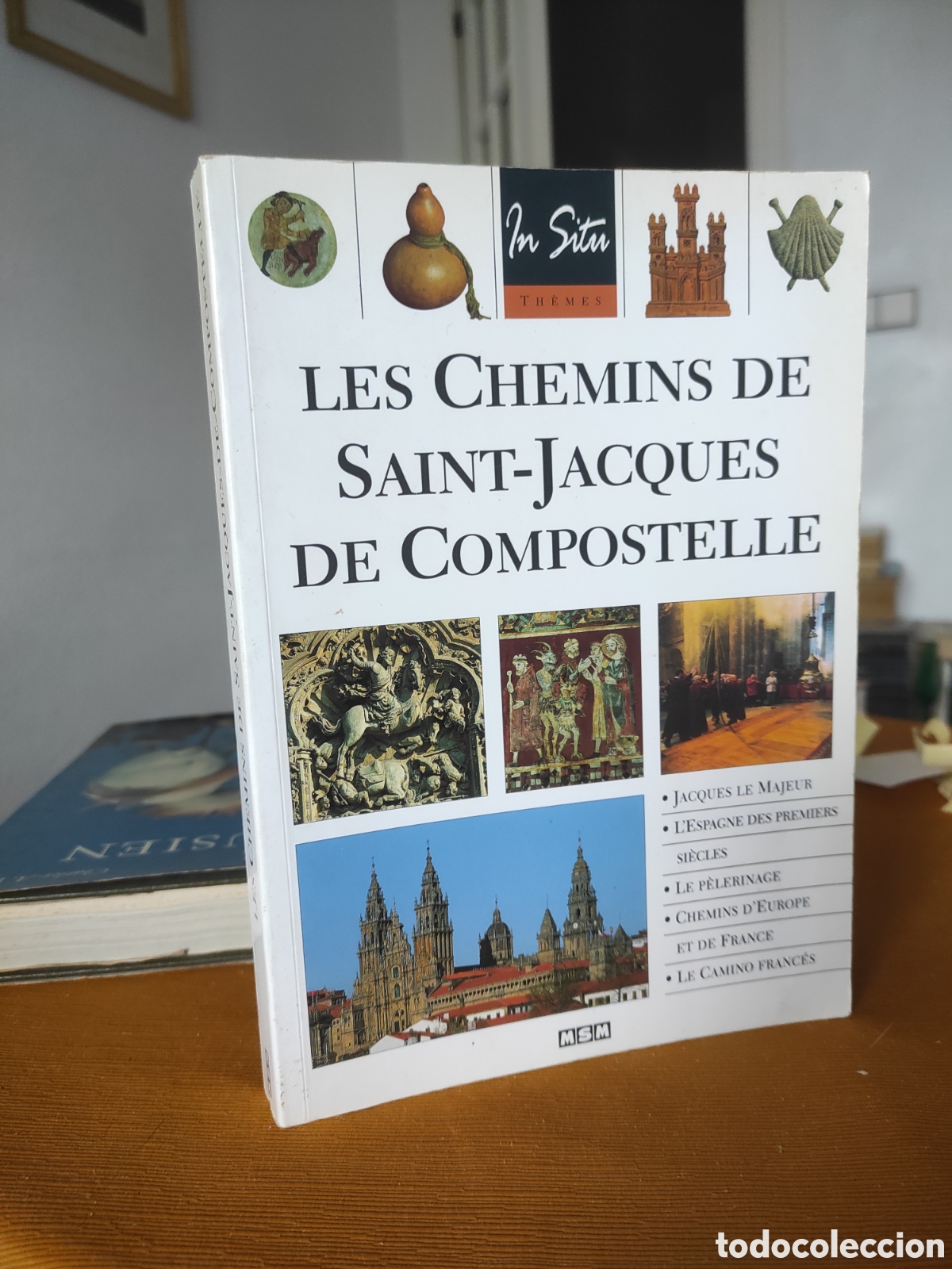 Libros de segunda mano: Julie Roux. Les Chemins de Saint-Jacques-de-Compostelle - Foto 1