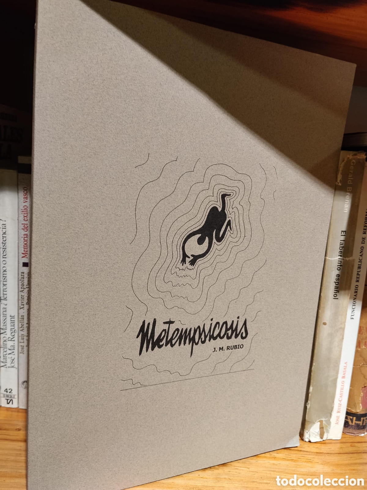 Libri di seconda mano: Metempsicosis - J. M. Rubio