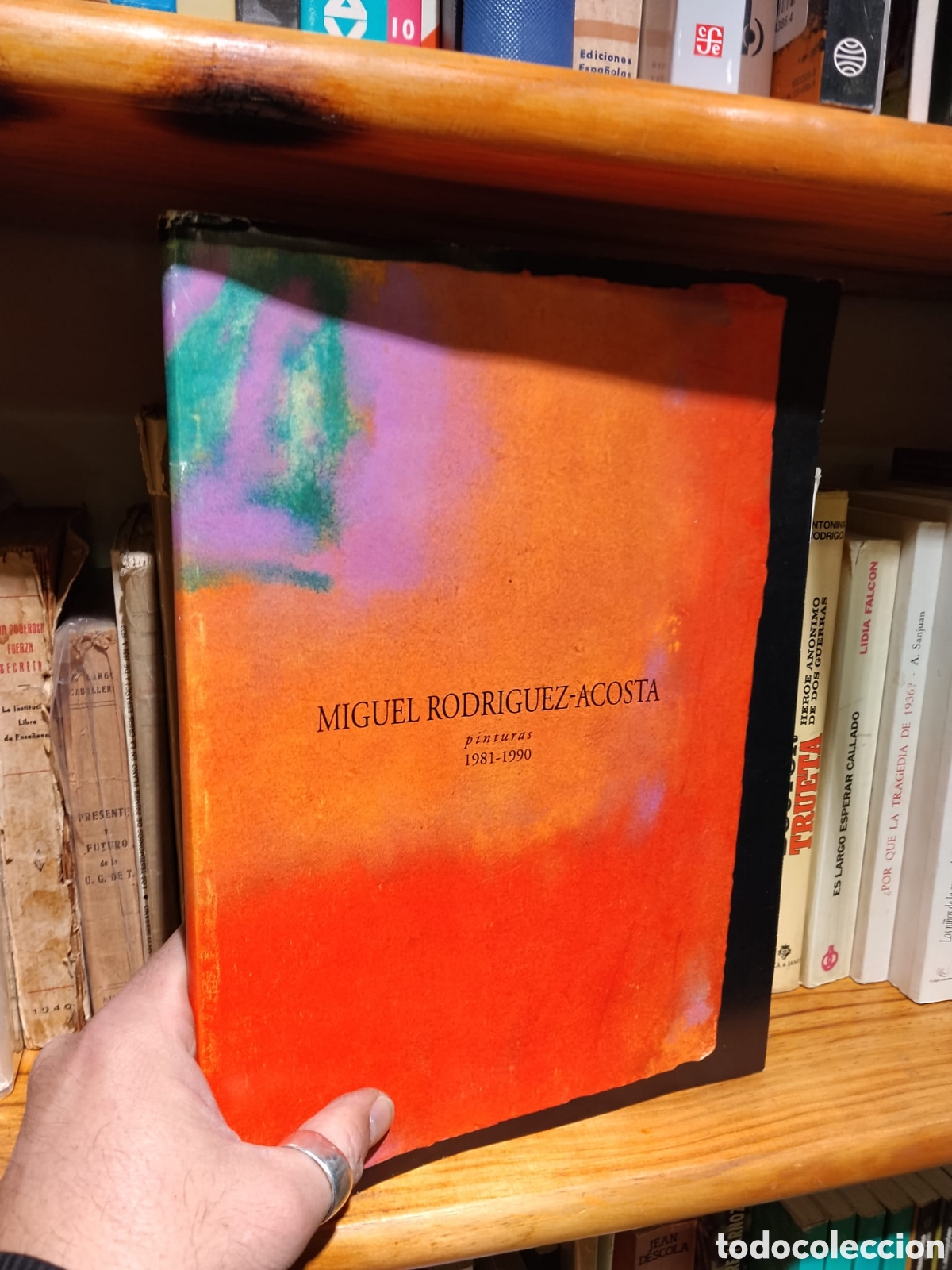 Gebrauchte B&uuml;cher: Pinturas 1981-1990 - Miguel Rodr&iacute;guez-Acosta