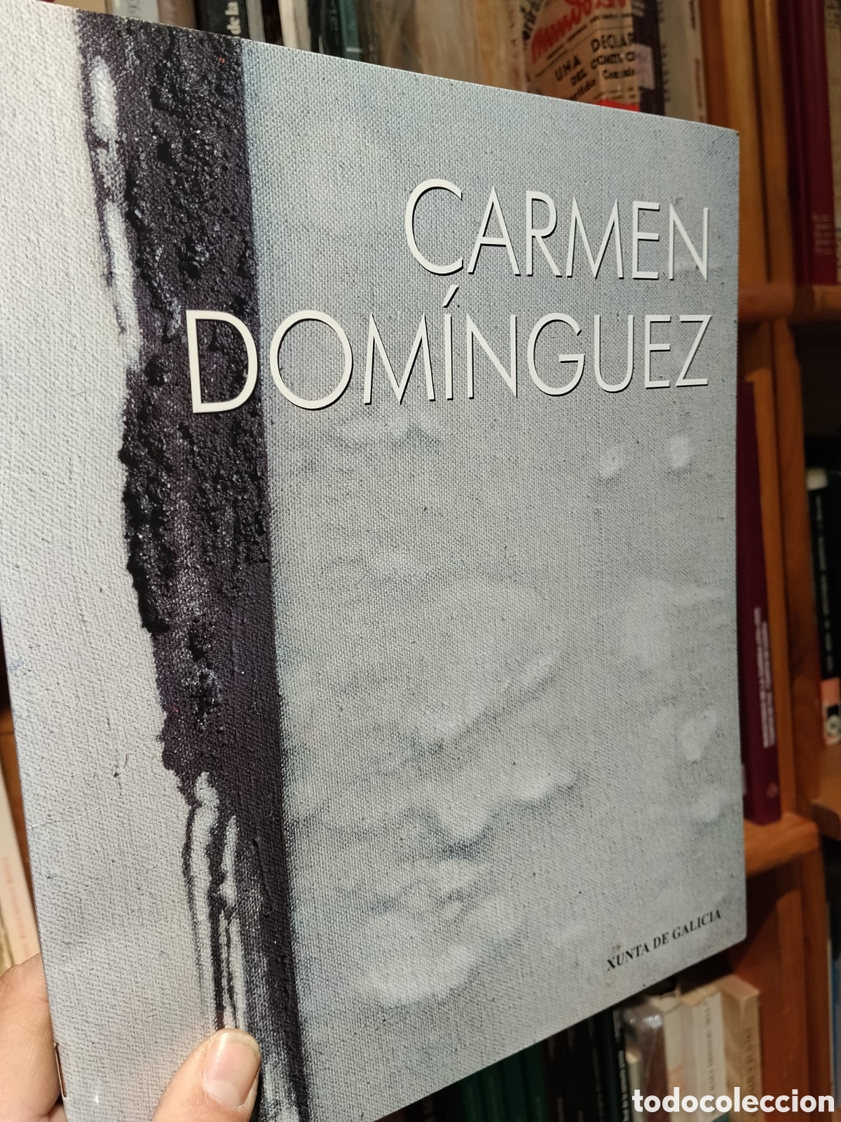 Gebrauchte B&uuml;cher: Carmen Dom&iacute;nguez. Del 7 al 29 de septiembre - Antonio Bonet Correa, X. Ant&oacute;n Castro y Emilio Romero