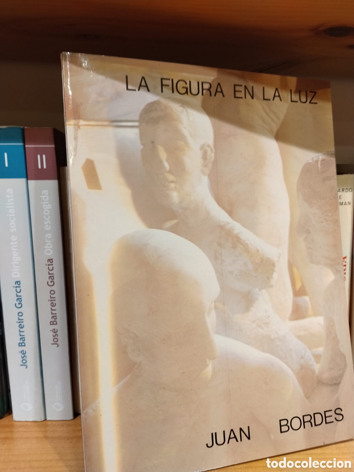 Libri di seconda mano: La figura en la luz - Juan Bordes