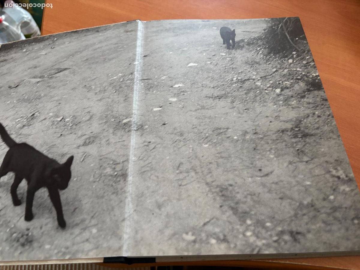 Libros de segunda mano: LIBRO DE LOS FANTASMAS (TANLA SMIT) (COB101) - Foto 4