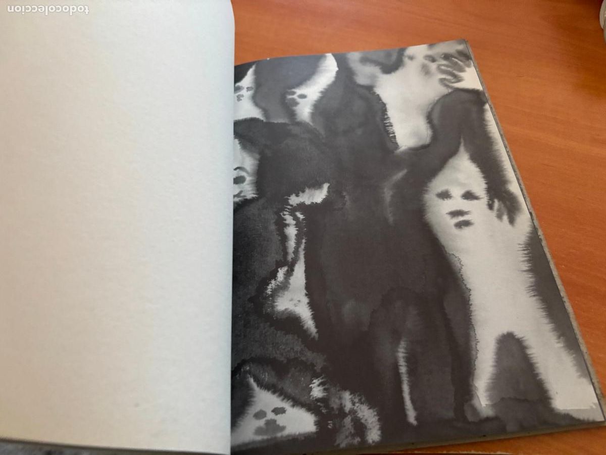 Libros de segunda mano: LIBRO DE LOS FANTASMAS (TANLA SMIT) (COB101) - Foto 5