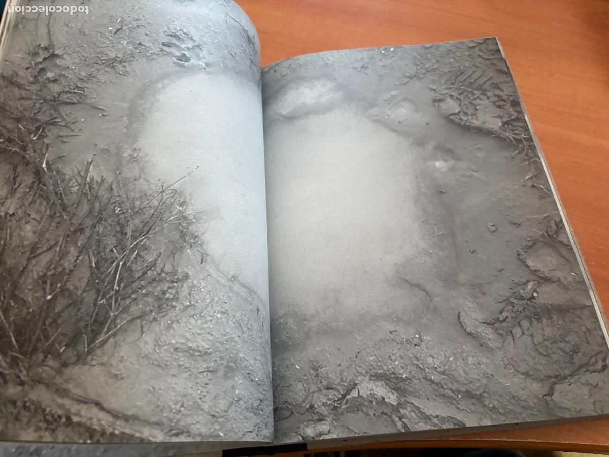 Libros de segunda mano: LIBRO DE LOS FANTASMAS (TANLA SMIT) (COB101) - Foto 7