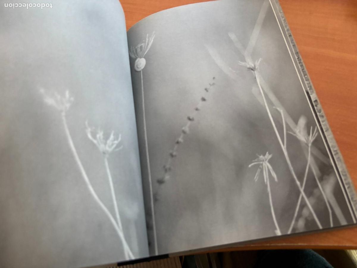 Libros de segunda mano: LIBRO DE LOS FANTASMAS (TANLA SMIT) (COB101) - Foto 12