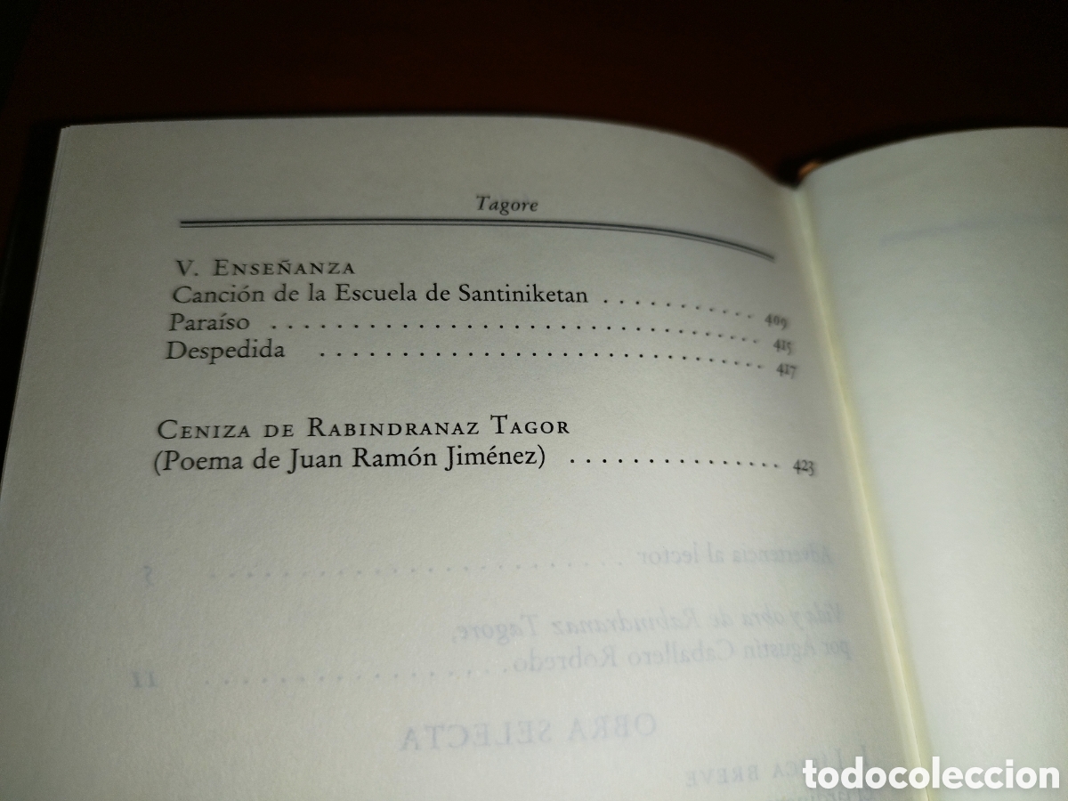 Libros de segunda mano: RABINDRANAZ TAGORE OBRA SELECTA. ED. CIRCULO DE LECTORES, 1991. - Foto 6