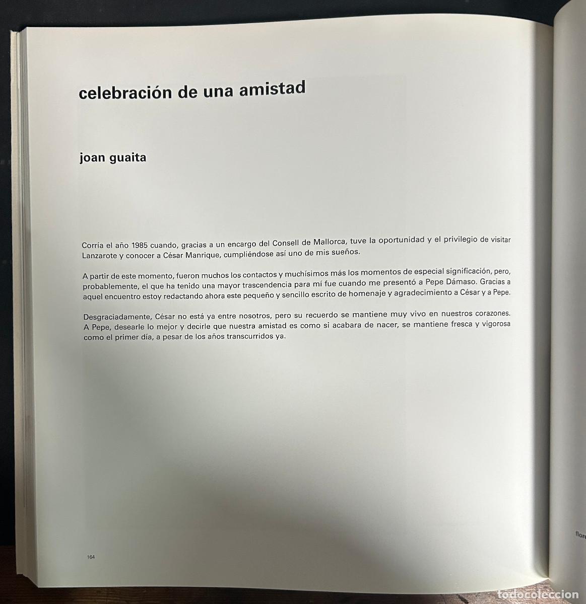 Libros de segunda mano: D&Aacute;MASO A MANRIQUE - CAT&Aacute;LOGO EXPOSICI&Oacute;N 2002 - CANARIAS - Foto 3