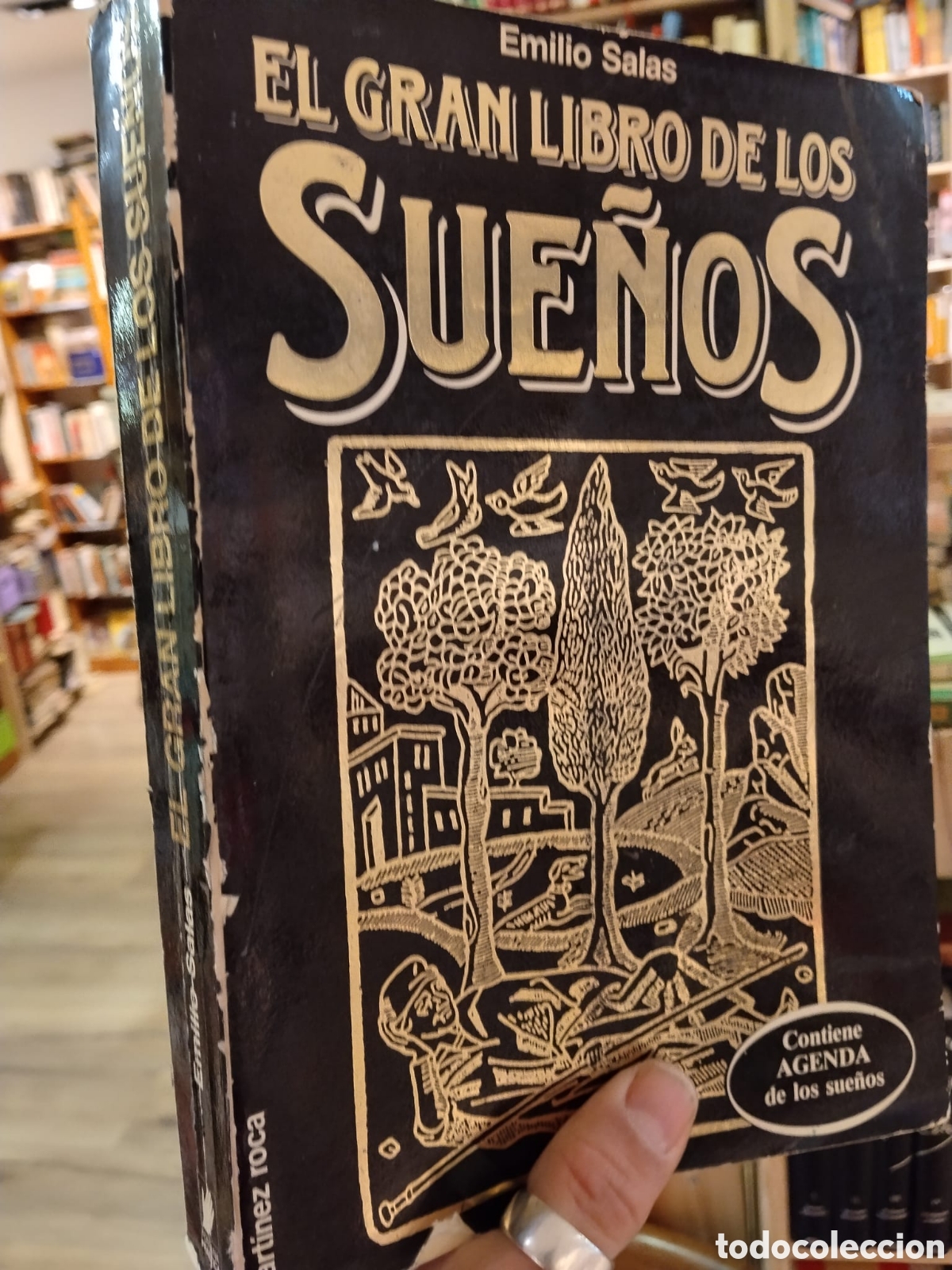 Libros de segunda mano: El gran libro de los sue&ntilde;os - Emilio Salas - Foto 1