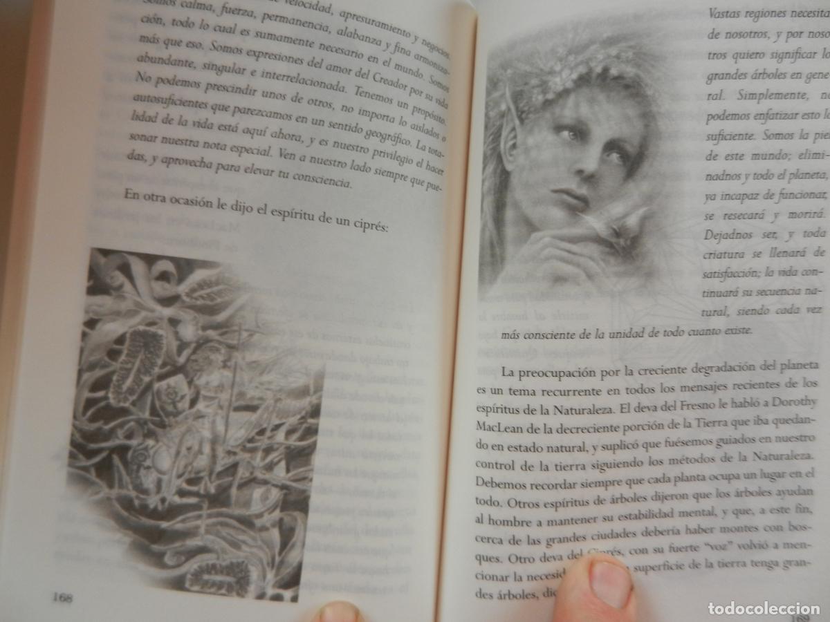 Libros de segunda mano: EL PODER DE LAS HADAS - GEORGE GUZMAN - MENSAJES Y ENSE&Ntilde;ANZAS DE LOS ESP&Iacute;RITUS- 2006 - Foto 4