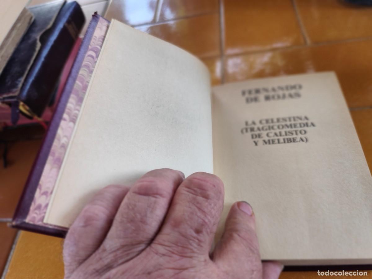 Libros de segunda mano: LA CELESTINA / FERNANDO DE ROJAS / GARA 112 EDICION DE LUJO - Foto 3