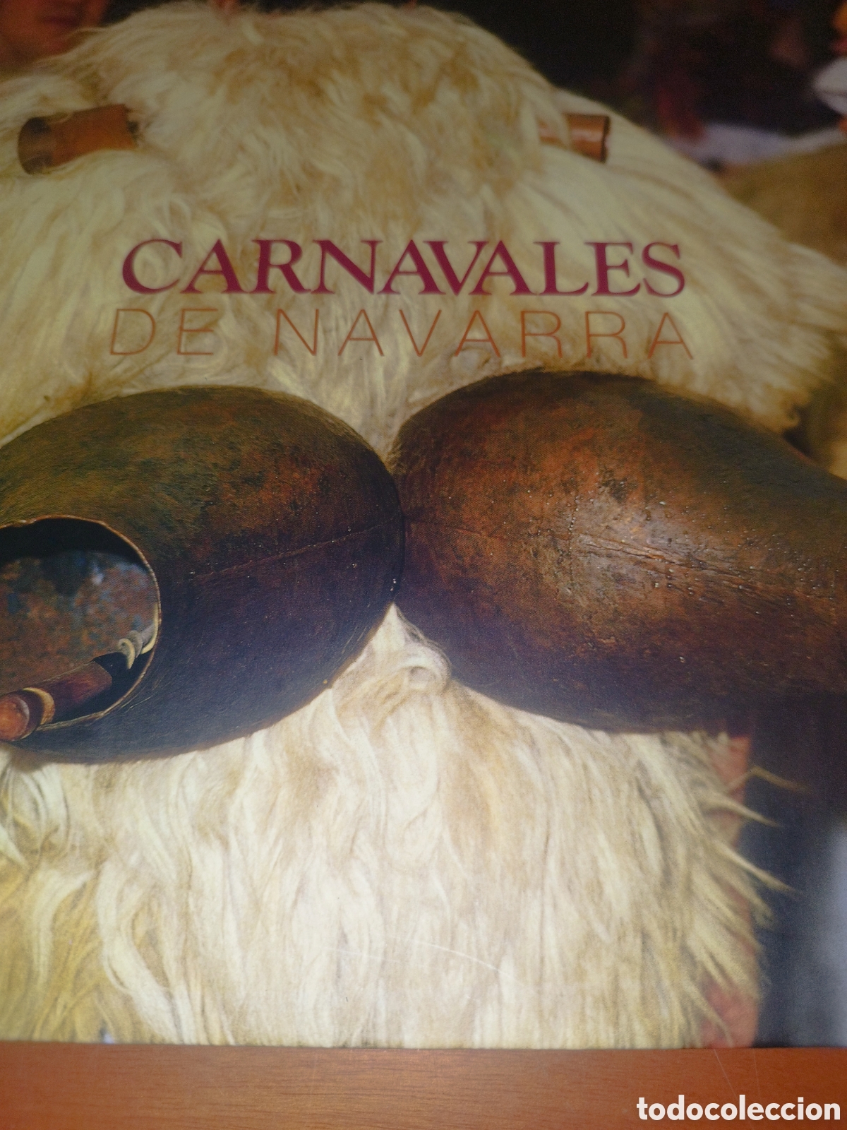 Libros de segunda mano: CARNAVALES DE NAVARRA.- FRANCISCO J. TIBERIO. ED. GOBIERNO DE NAVARRA, 2000. ILUSTRADO.
