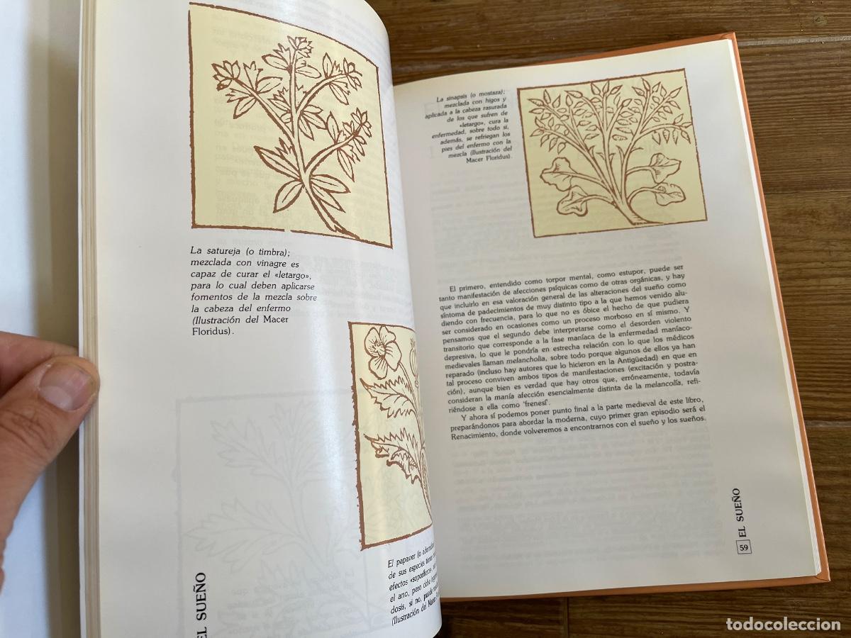 Libros de segunda mano: Historia del Sue&ntilde;o y los sue&ntilde;os, Pedro Pablo Ayuso Arroyo - Foto 4