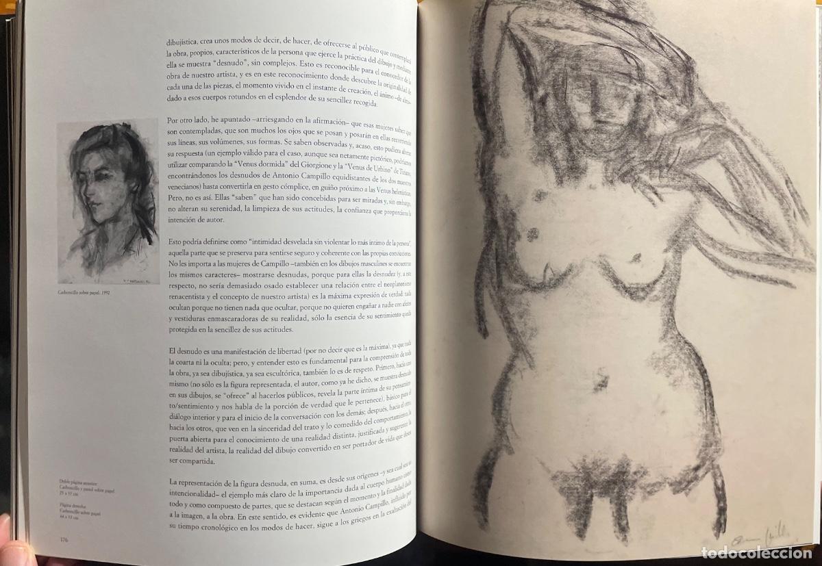 Libros de segunda mano: MURCIA- ESCULTURA- ANTONIO CAMPILLO- 2008 - Foto 7