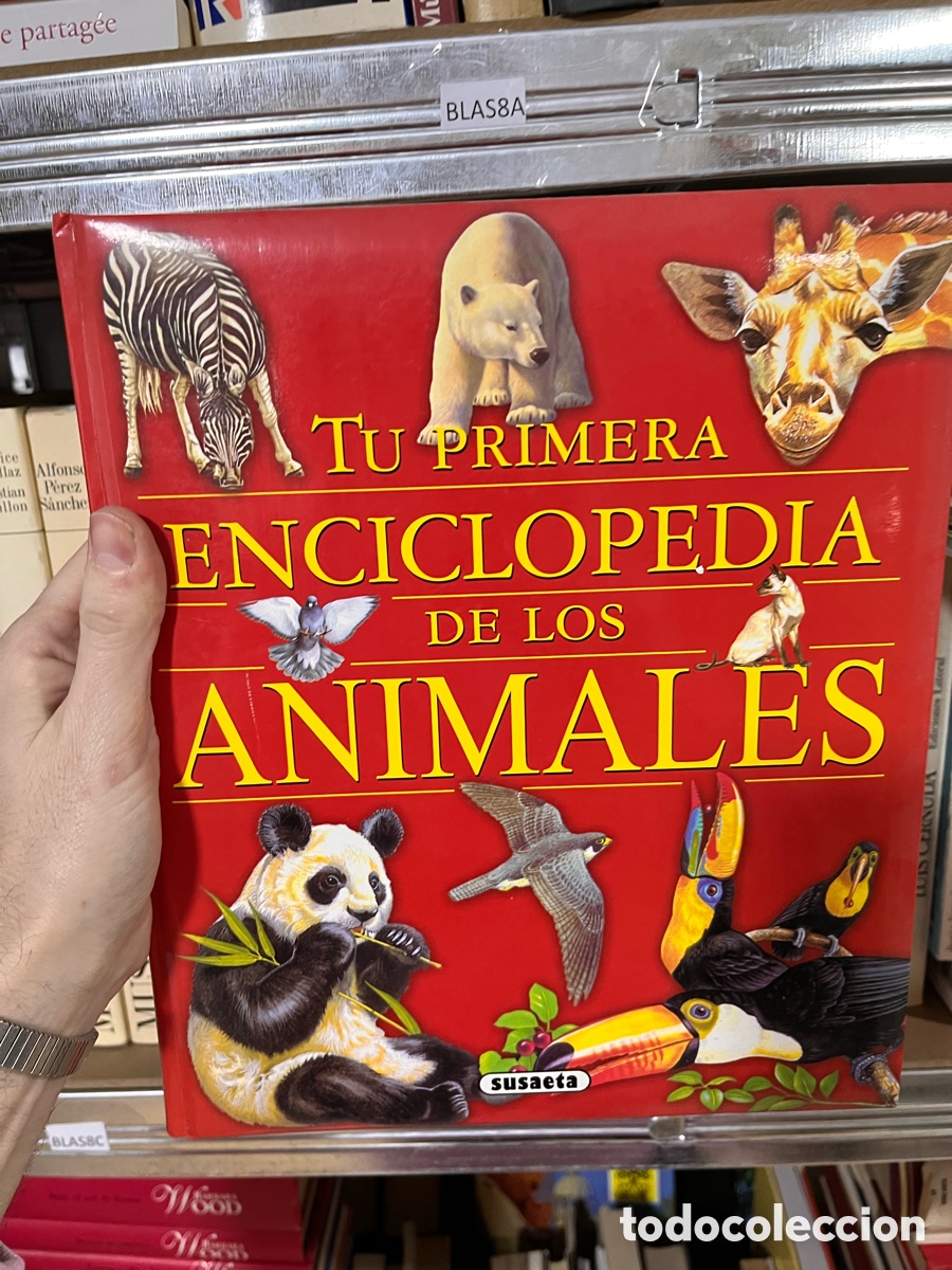 Libri di seconda mano: BLAS8A, -TU PRIMERA ENCICLOPEDIA DE LOS ANIMALES
