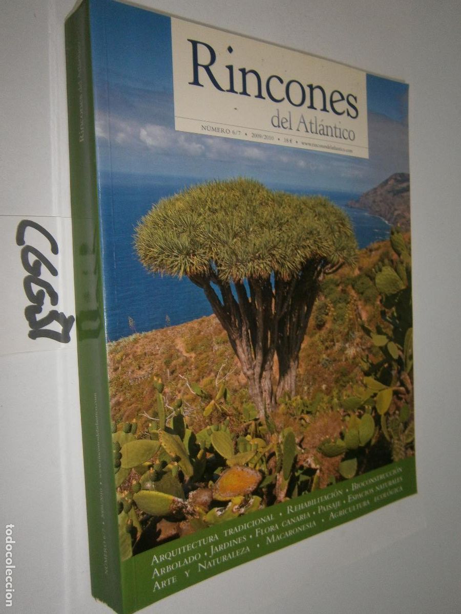 Libros de segunda mano: ANTIGUO VOLUMEN - RINCONES DEL ATLANTICO - Foto 1