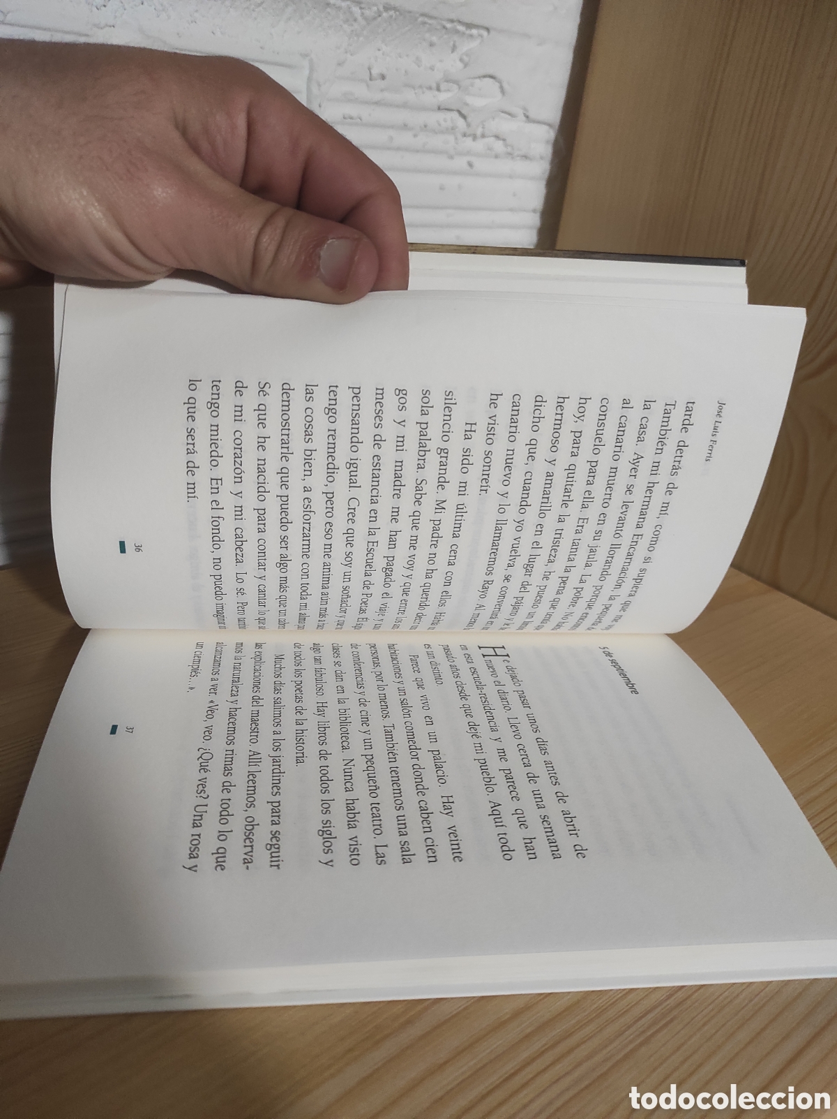 Libros de segunda mano: El diario de Miguel: Ferris, Jos&eacute; Luis - Foto 5
