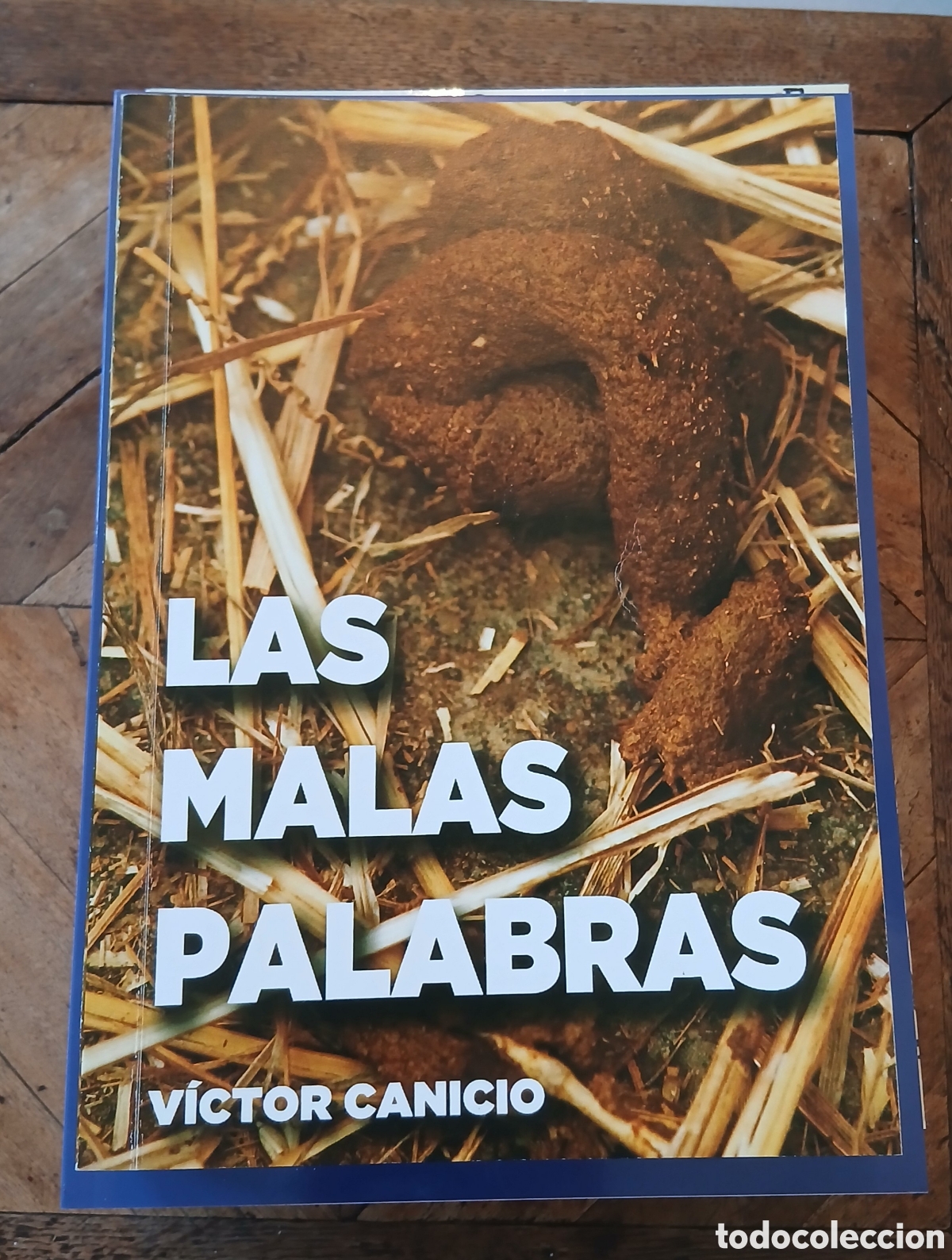 Libros de segunda mano: Las Malas Palabras. Victor Canicio. - Foto 1
