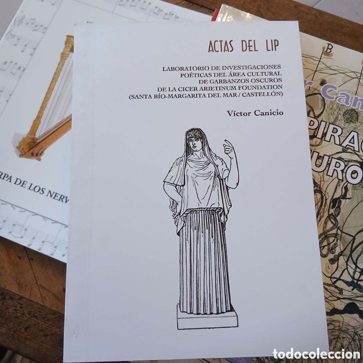 Libros de segunda mano: Actas del LIP. Victor Canicio - Foto 3