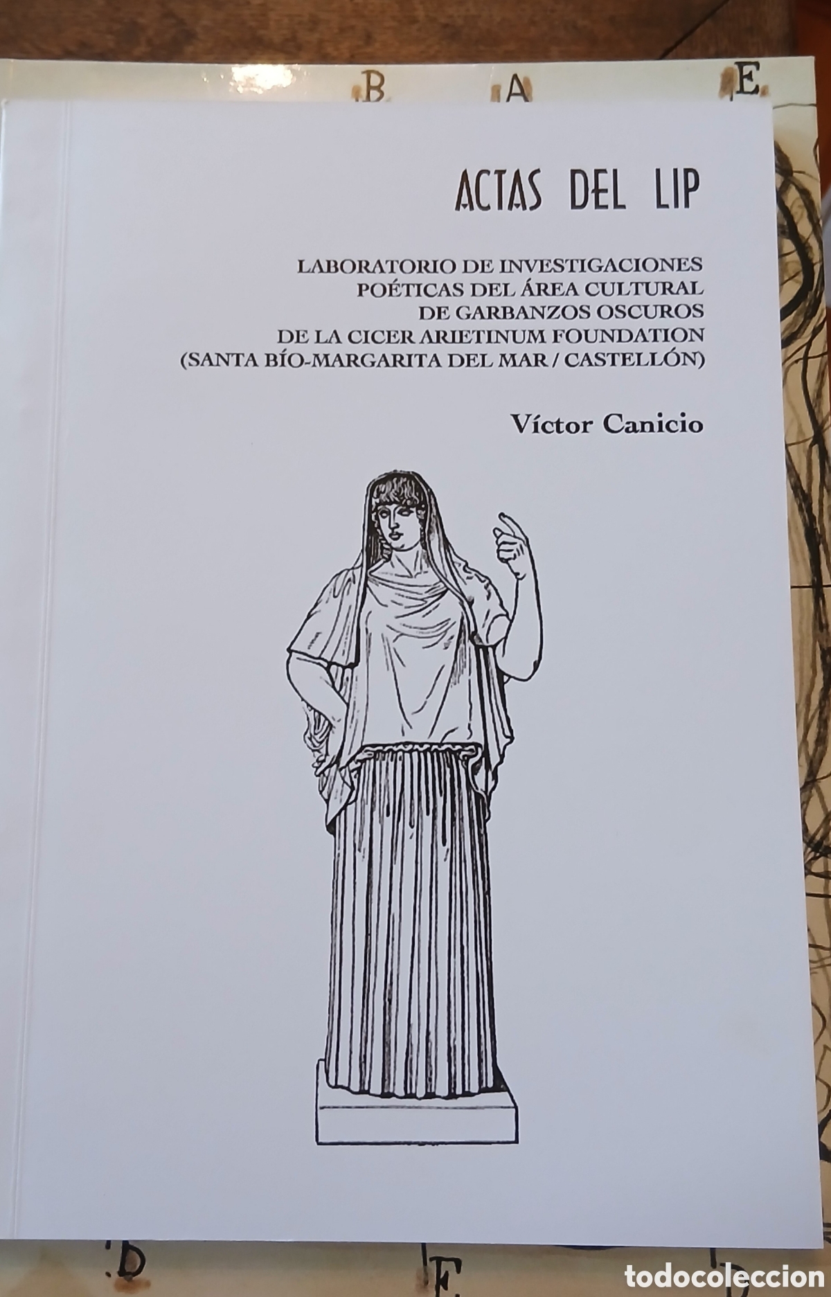 Libros de segunda mano: Actas del LIP. Victor Canicio - Foto 1