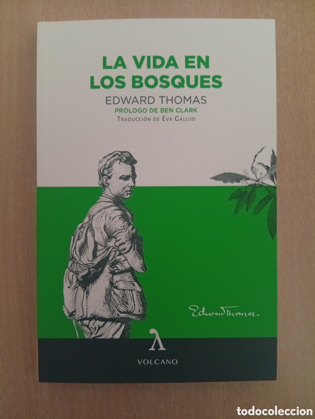 Libros de segunda mano: LA VIDA EN LOS BOSQUES. Edward Thomas. Volcano Libros - Foto 1