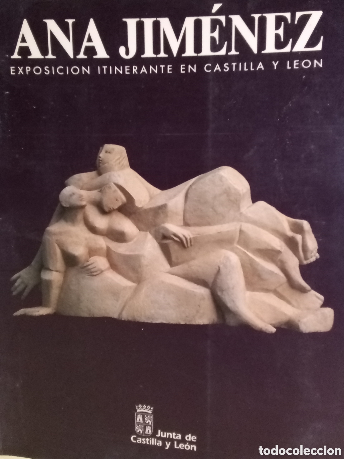 Libros de segunda mano: Ana Jim&eacute;nez Exposici&oacute;n itinerante en Castilla y Le&oacute;n - Foto 1