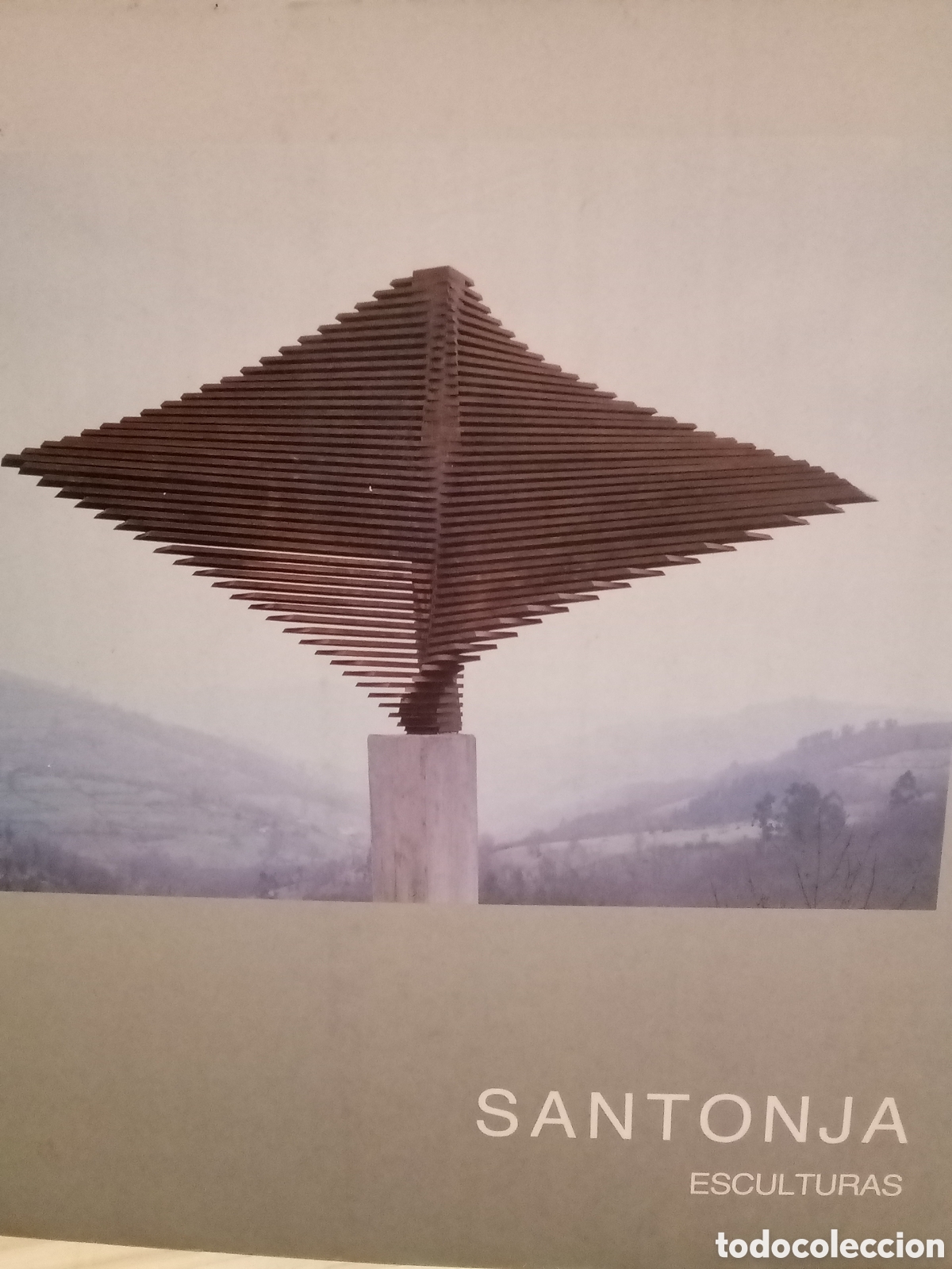 Gebrauchte B&uuml;cher: Santonja Esculturas - 5 de Abril/6 Mayo/1990