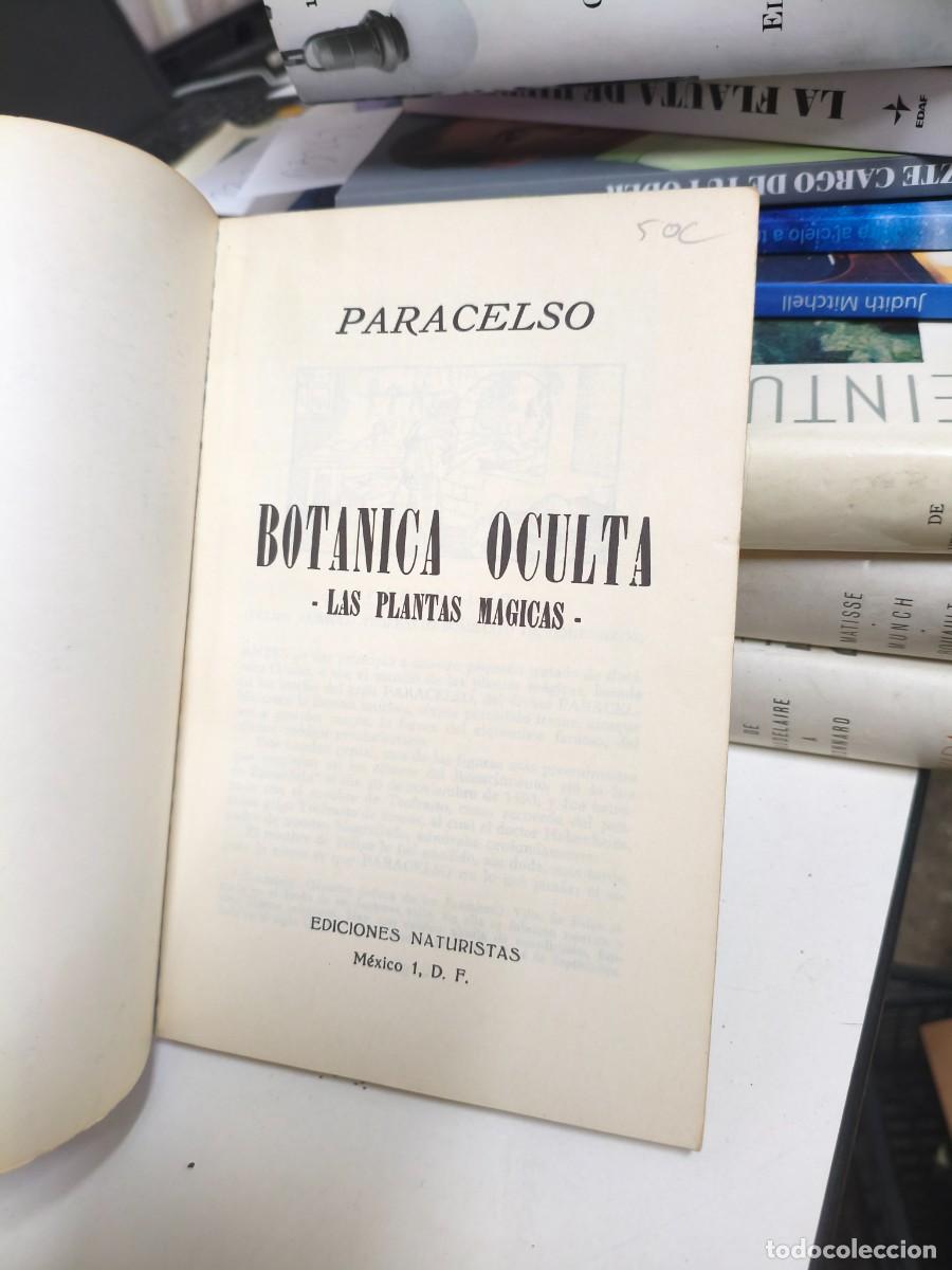 Libros de segunda mano: Bot&aacute;nica oculta Paracelso - Foto 2