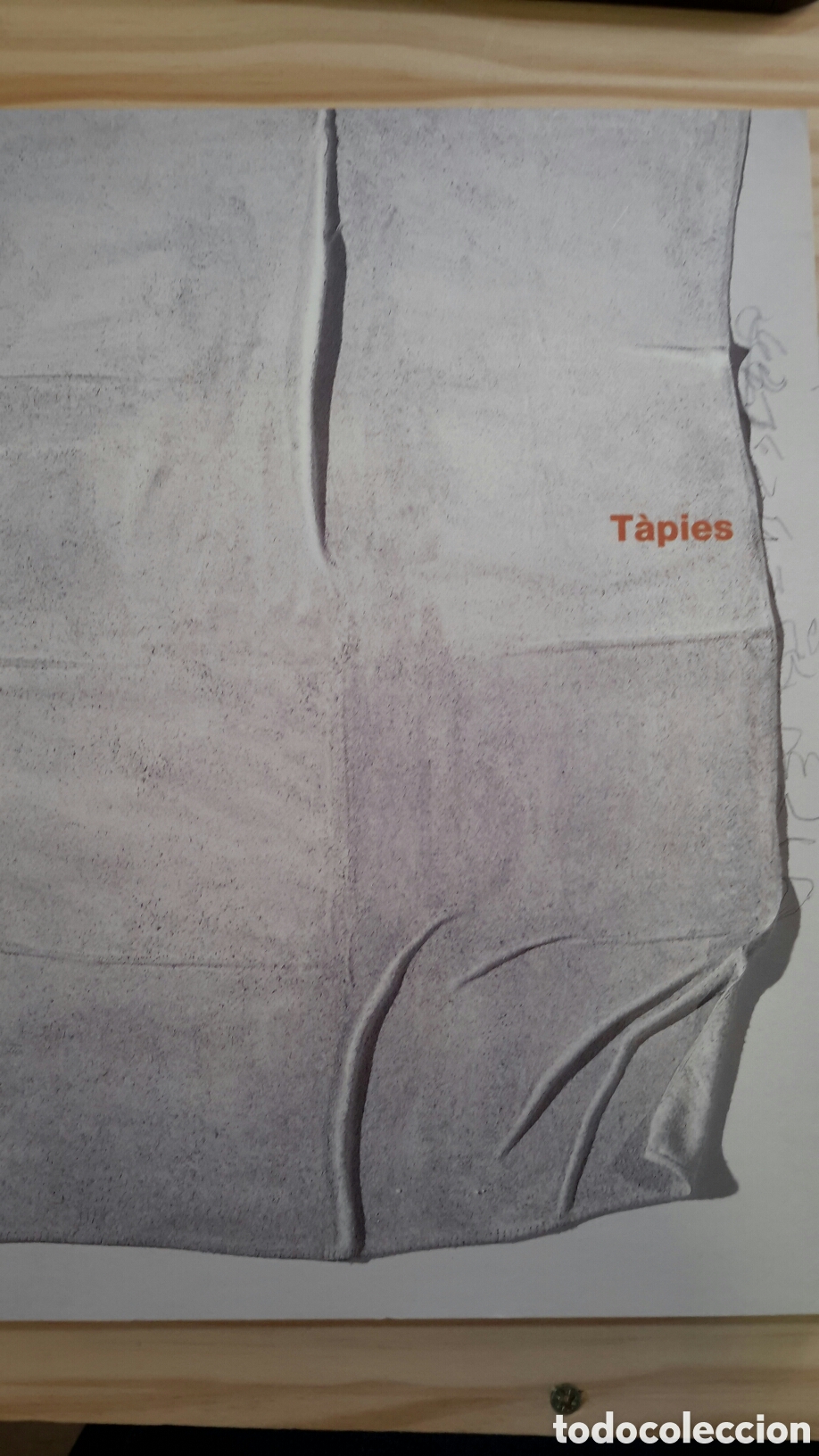 Libros de segunda mano: Tapies - Carlos Ortega - Foto 1