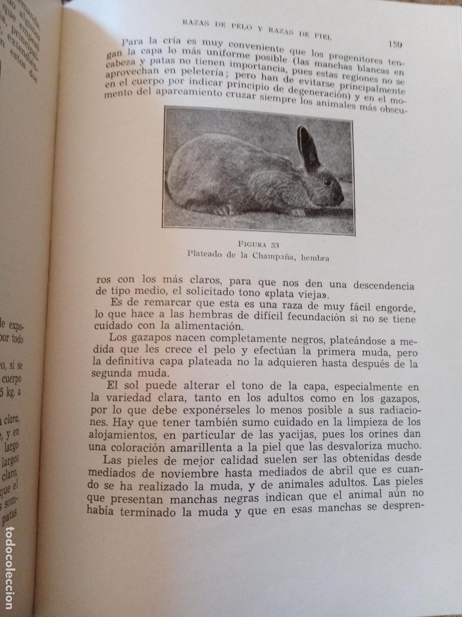 Libros de segunda mano: CRIA Y EXPLOTACI&Oacute;N DE LOS CONEJOS. J W CROSS. EDICIONES GEA, 1959 - Foto 2