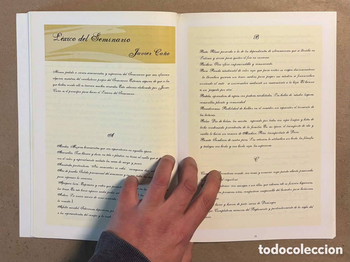 Libros de segunda mano: &iquest;QU&Eacute; PAS&Oacute; CON EL SEMINARIO DE DERIO? DE MANICOMIO A ARTEAGA CENTRUM. HISTORIA DE UN EDIFICIO - Foto 5