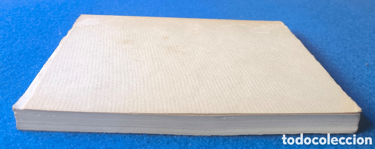 Libros de segunda mano: FERNANDO RIELO TRANSFIGURATION TIR&Eacute; LIMIT&Eacute;E LIBRO DESCATALOGADO 1986 - Foto 5