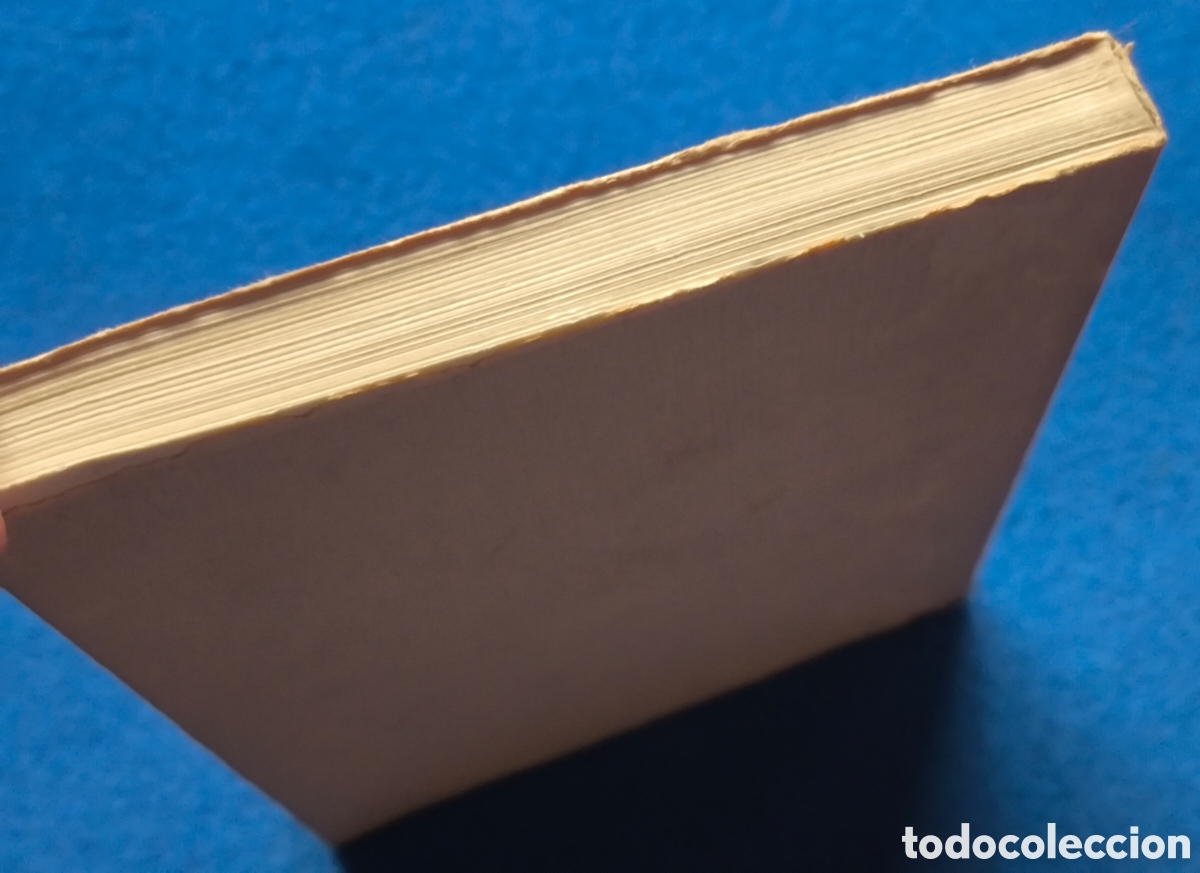 Libros de segunda mano: FERNANDO RIELO TRANSFIGURATION TIR&Eacute; LIMIT&Eacute;E LIBRO DESCATALOGADO 1986 - Foto 6