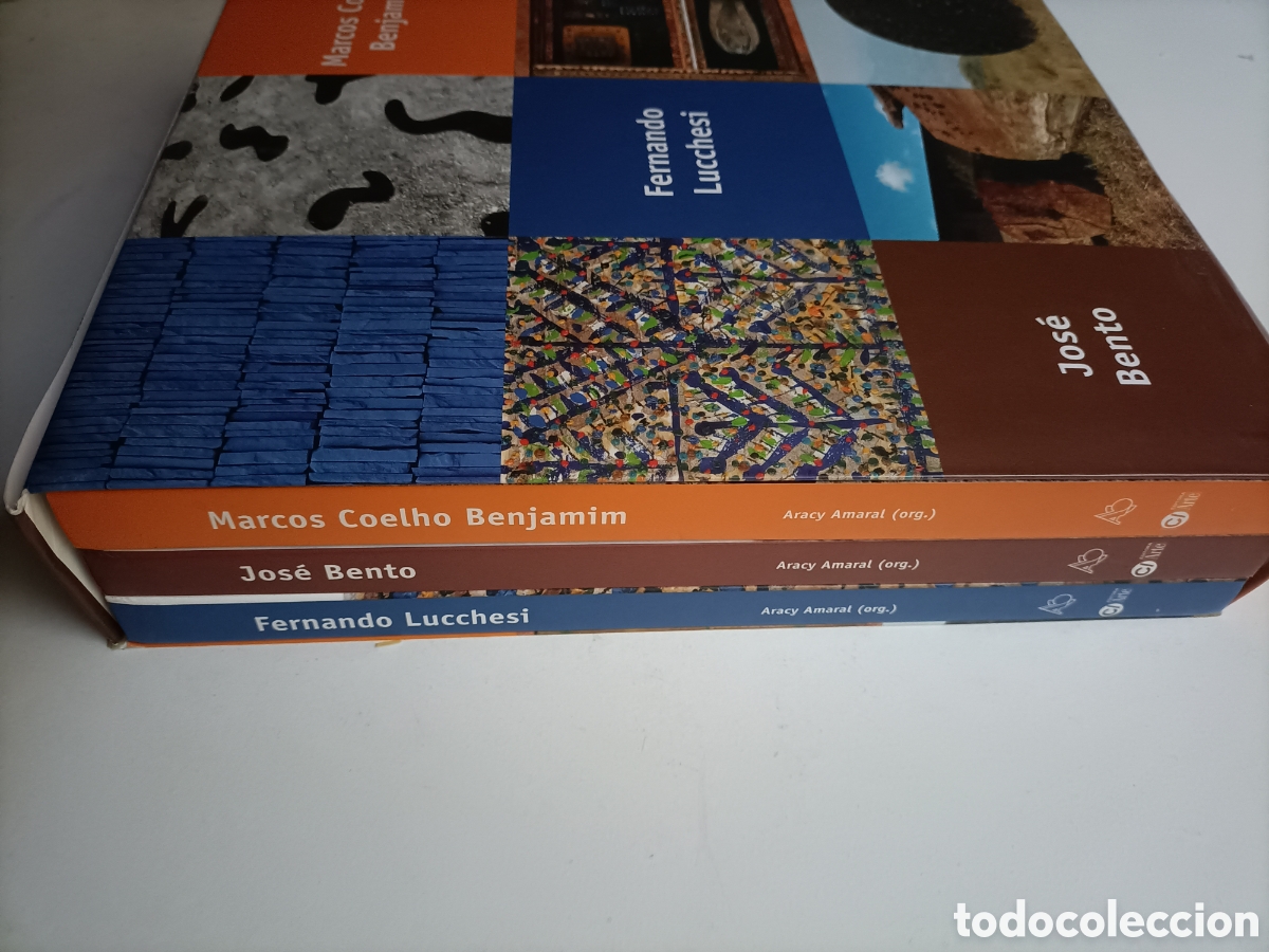 Libros de segunda mano: Marcos Coelho Benjam&iacute;n.Fernando lucchesi.Jose Bento. Aracy Amaral. Arte siglo XX XXI pintura escultu