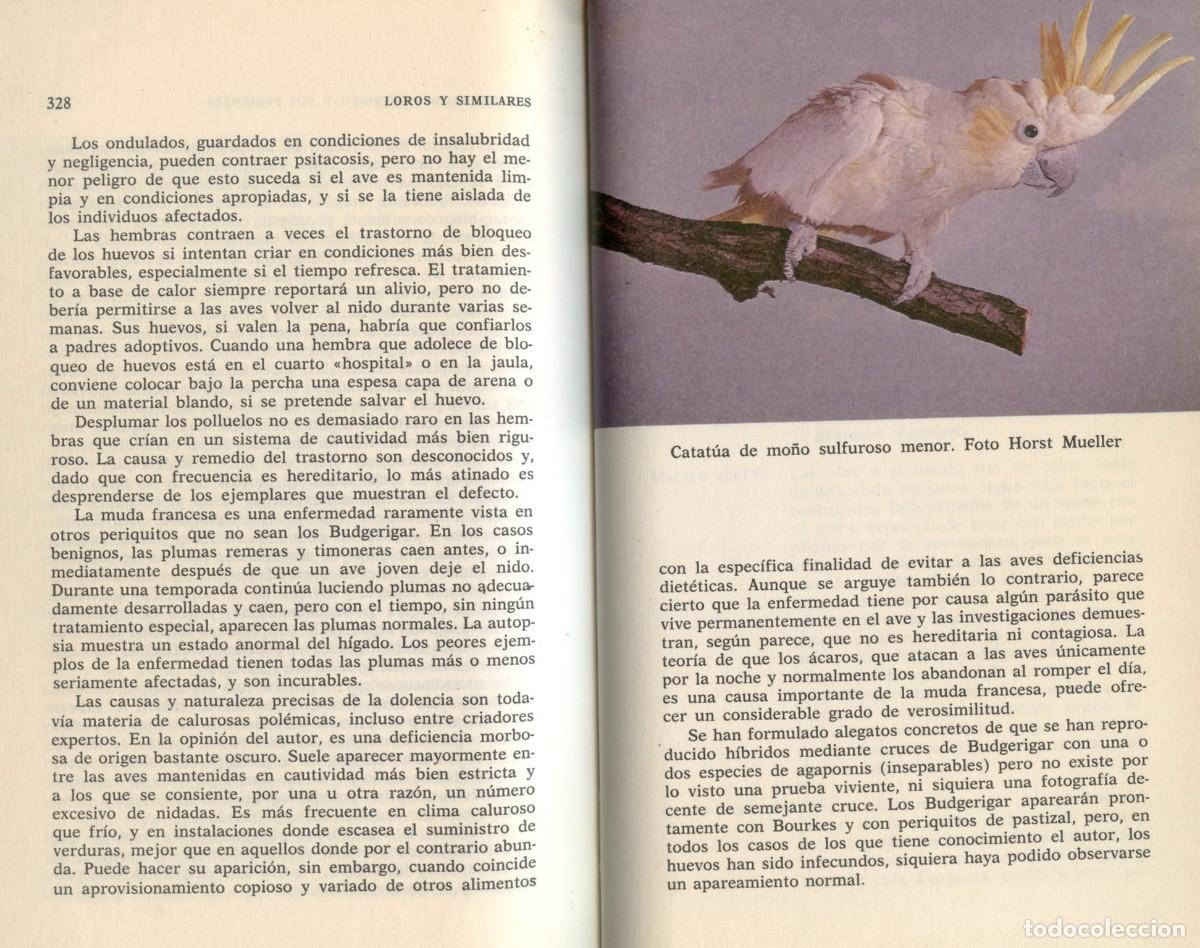 Libros de segunda mano: LOROS Y SIMILARES. Duque de Bedford. - Foto 9