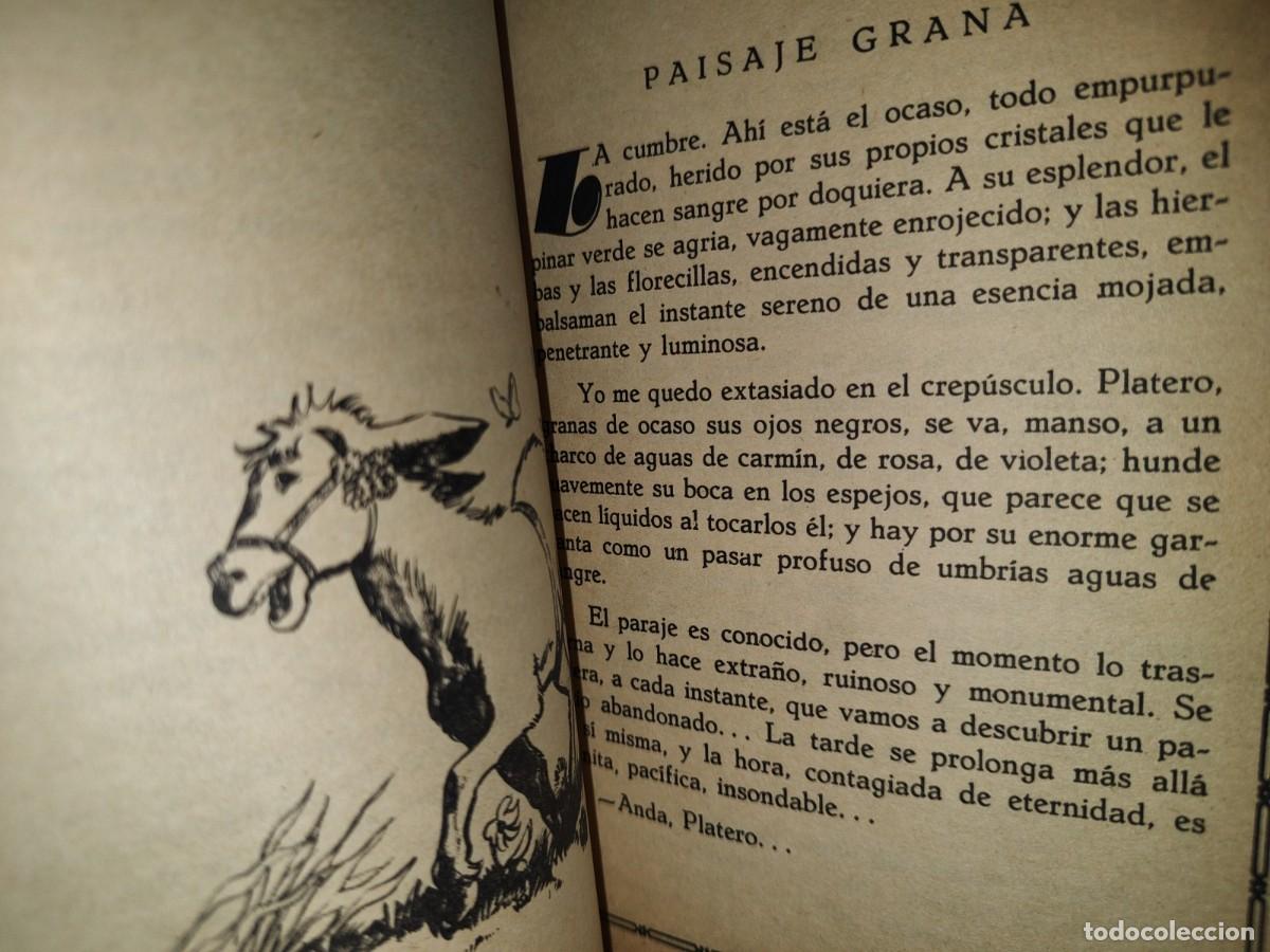 Libros de segunda mano: 208- platero y yo - juan ram&oacute;n jim&eacute;nez - fr editor - 1986 - Foto 4
