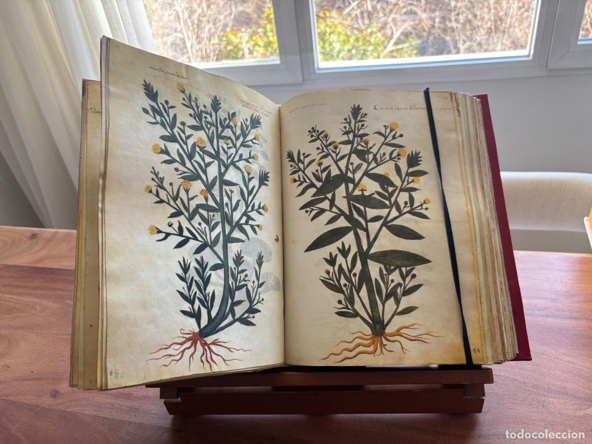 Libros de segunda mano: Diosc&oacute;rides greco-latino &ndash; volumen encuadernado de colecci&oacute;n - Foto 4