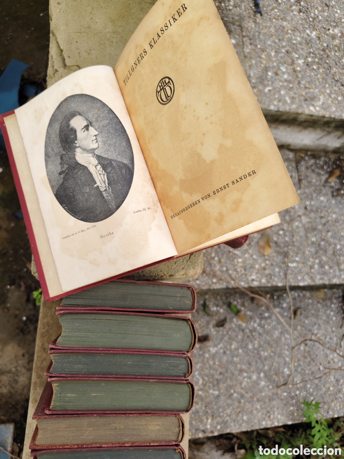 Libros de segunda mano: 9 libros Goethes Werke - Foto 1
