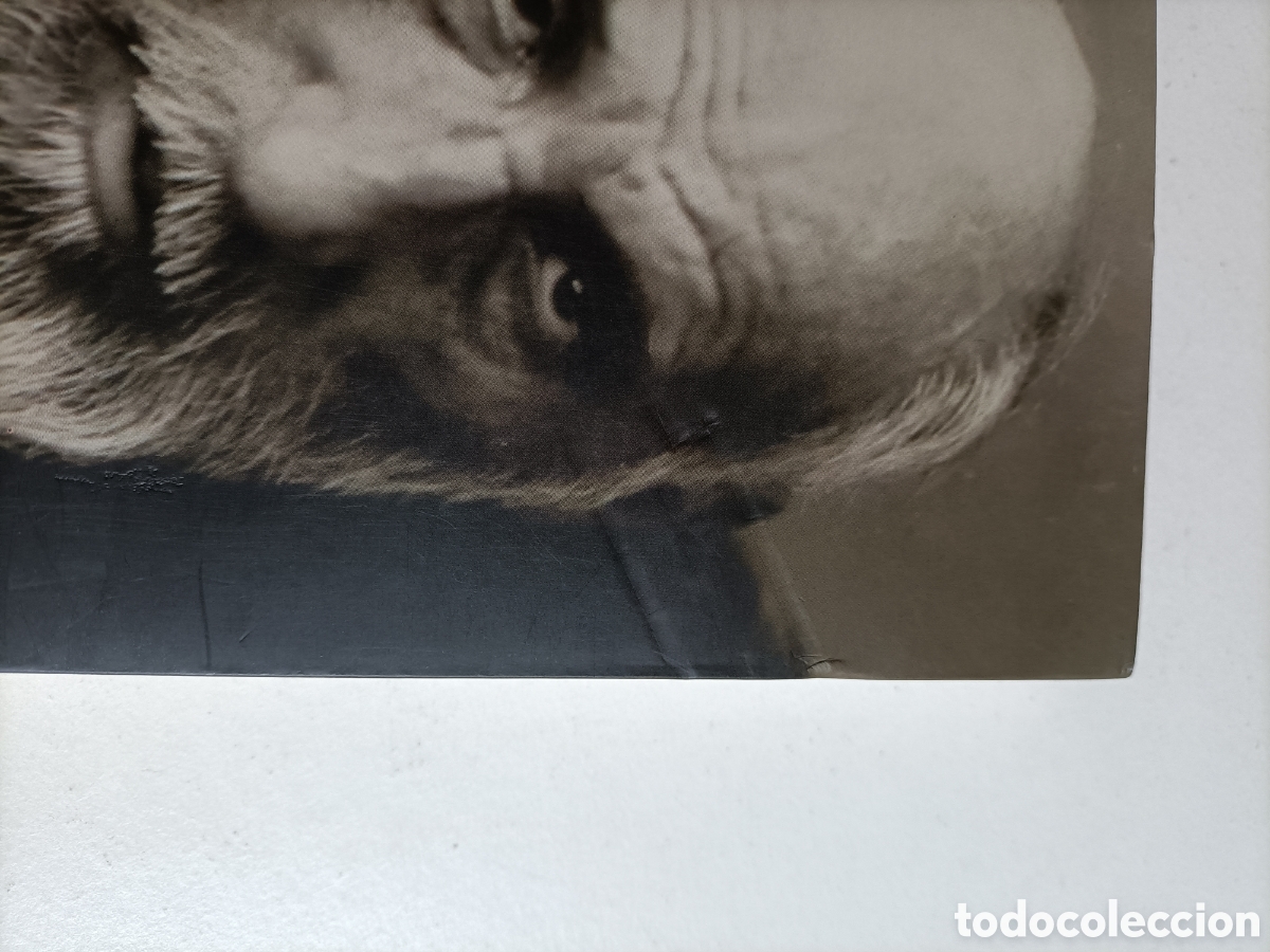 Libros de segunda mano: Citas con Cajal. Jos&eacute; Ram&oacute;n Alonso - Foto 5