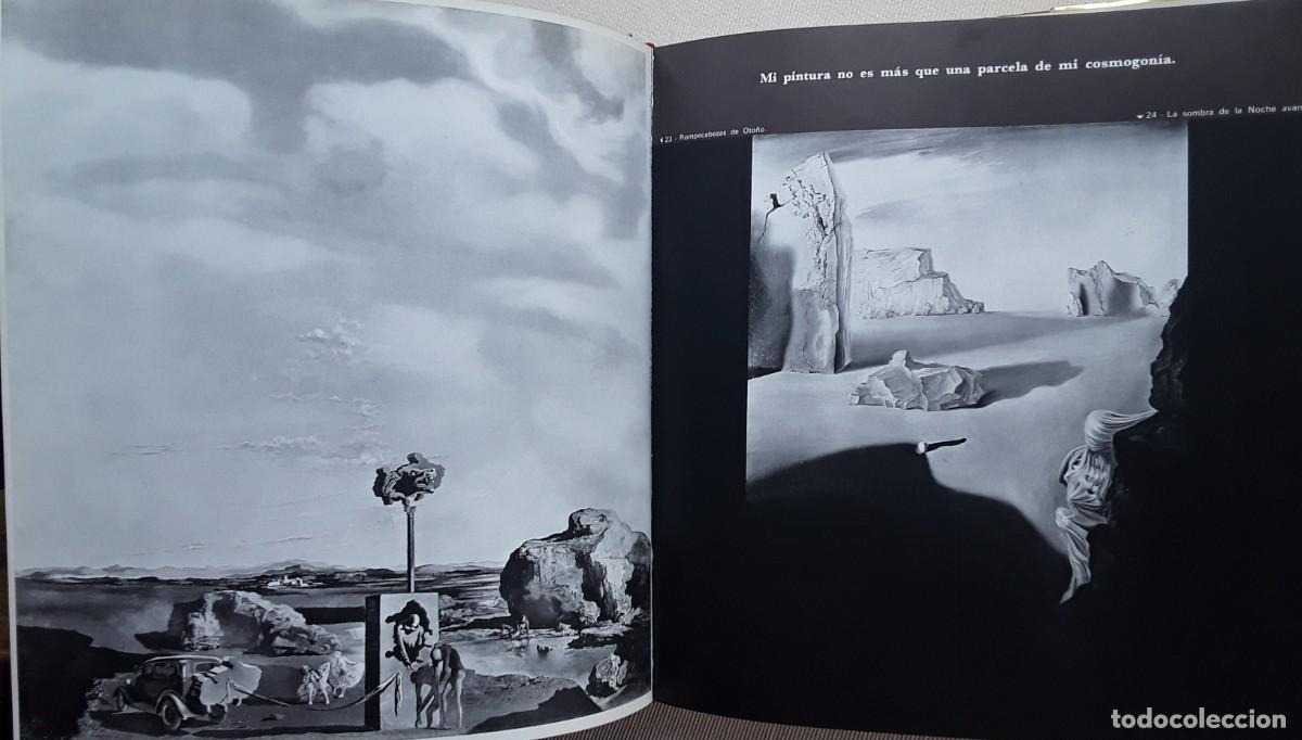 Libros de segunda mano: PICASSO DE BLUME. DAL&Iacute; DE DRAEGER. - Foto 9