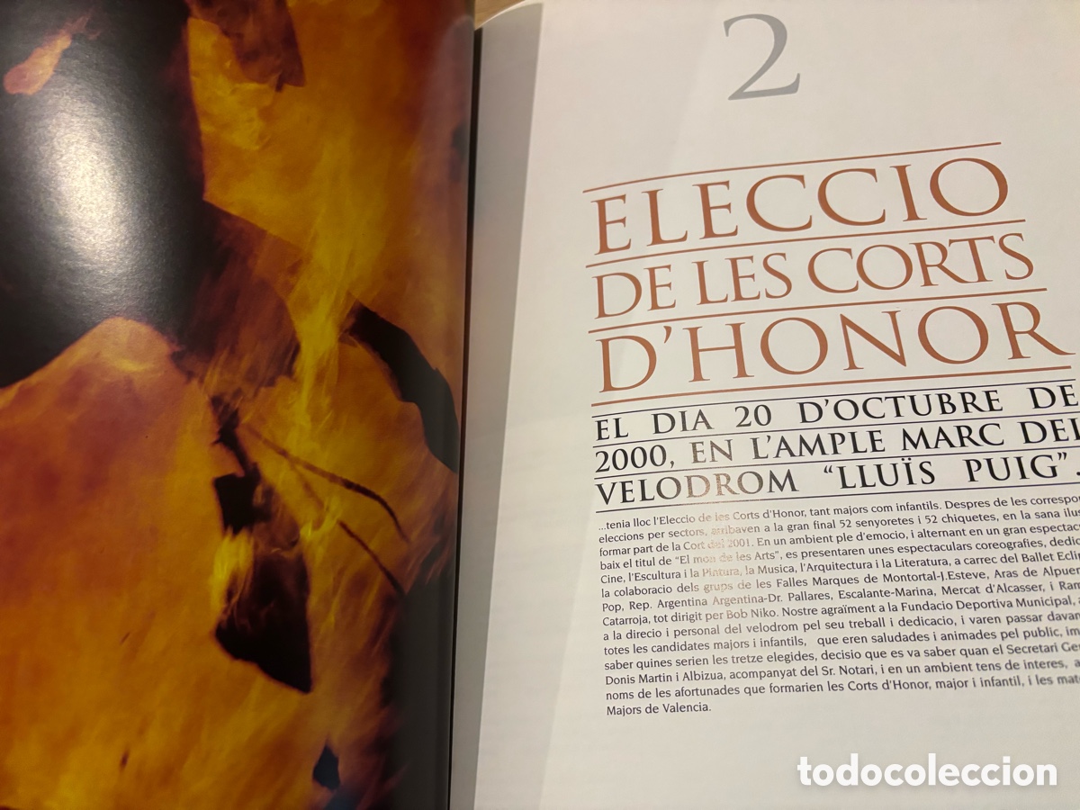 Libros de segunda mano: LIBRO FALLERO 2001 JUNTA CENTRAL FALLERA - Foto 15