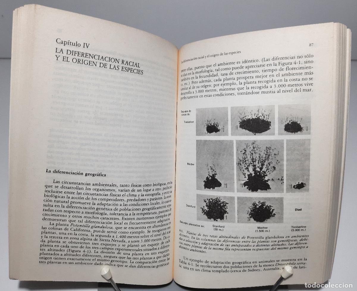 Libros de segunda mano: Origen y evolucion del hombre - Ayala, Francisco J. - Foto 4