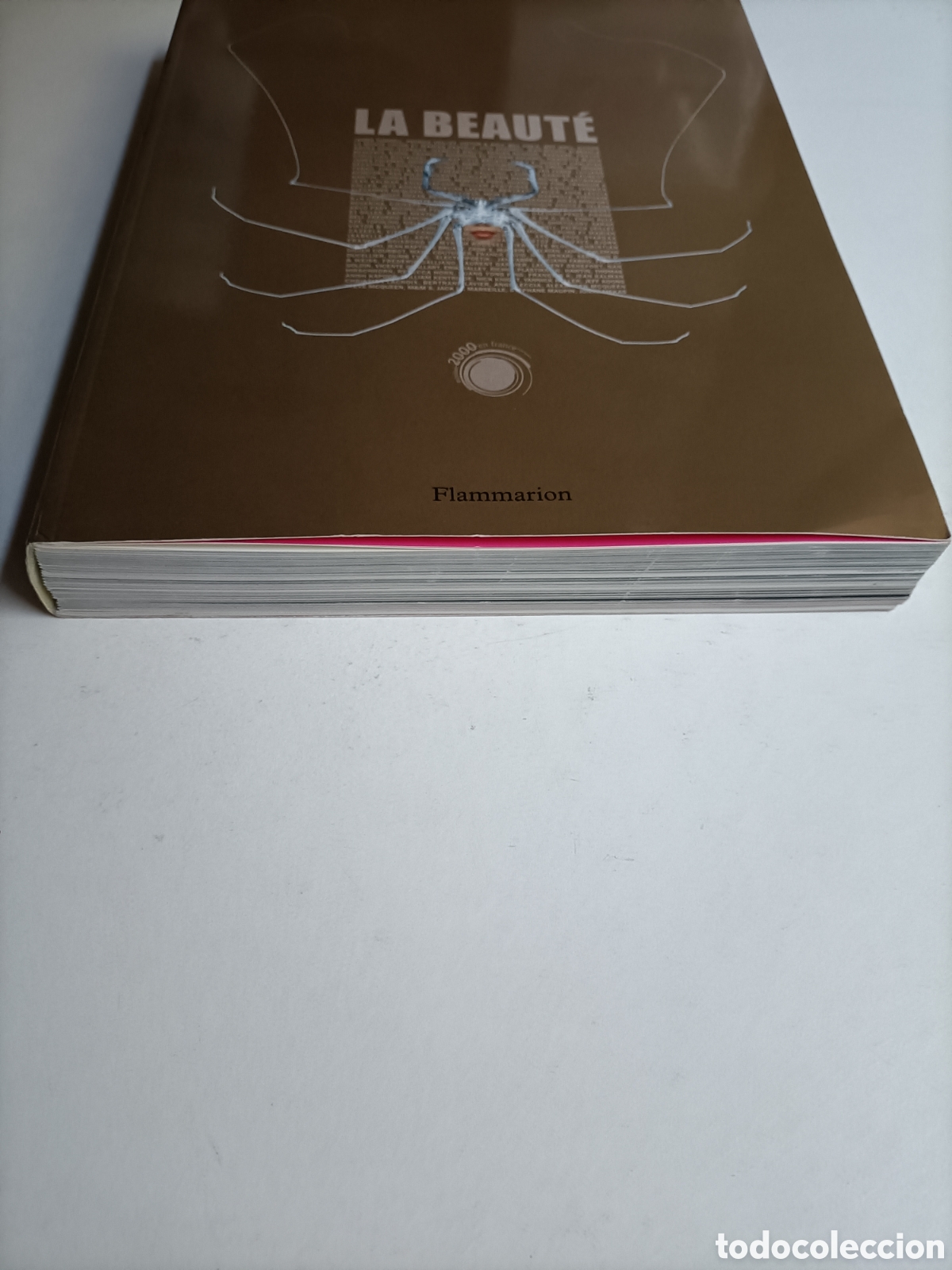 Libros de segunda mano: La beaute. Texto en franc&eacute;s exposici&oacute;n Avi&ntilde;&oacute;n. La belleza - Foto 2