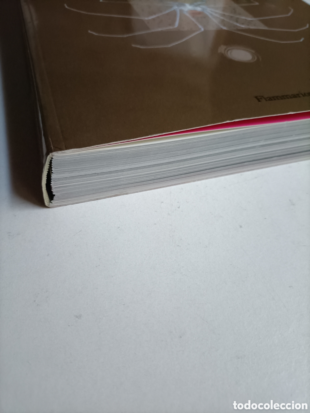 Libros de segunda mano: La beaute. Texto en franc&eacute;s exposici&oacute;n Avi&ntilde;&oacute;n. La belleza - Foto 3