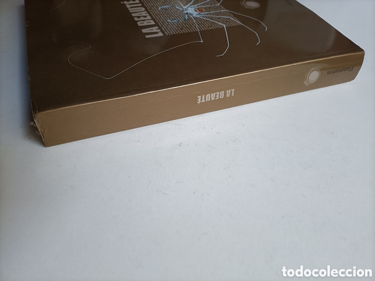 Libros de segunda mano: La beaute. Texto en franc&eacute;s exposici&oacute;n Avi&ntilde;&oacute;n. La belleza - Foto 4