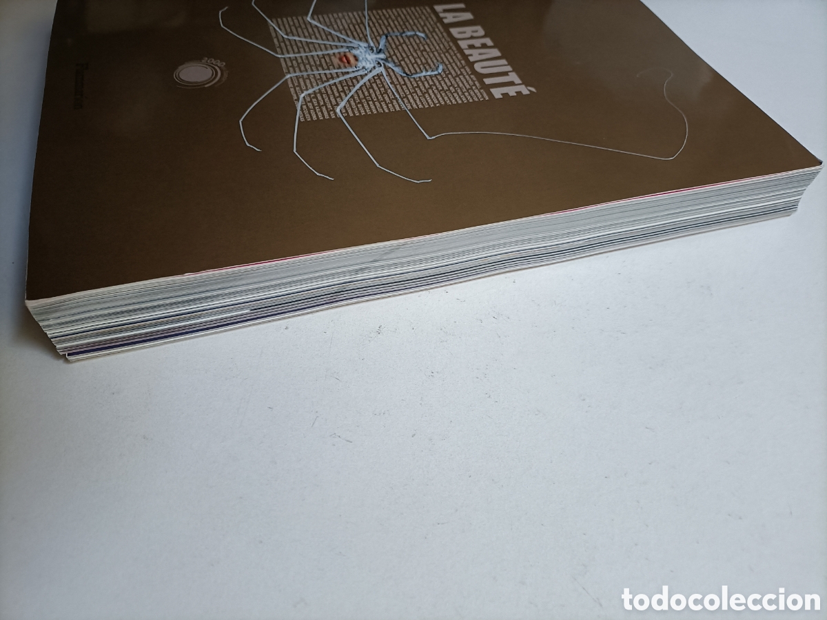 Libros de segunda mano: La beaute. Texto en franc&eacute;s exposici&oacute;n Avi&ntilde;&oacute;n. La belleza - Foto 5
