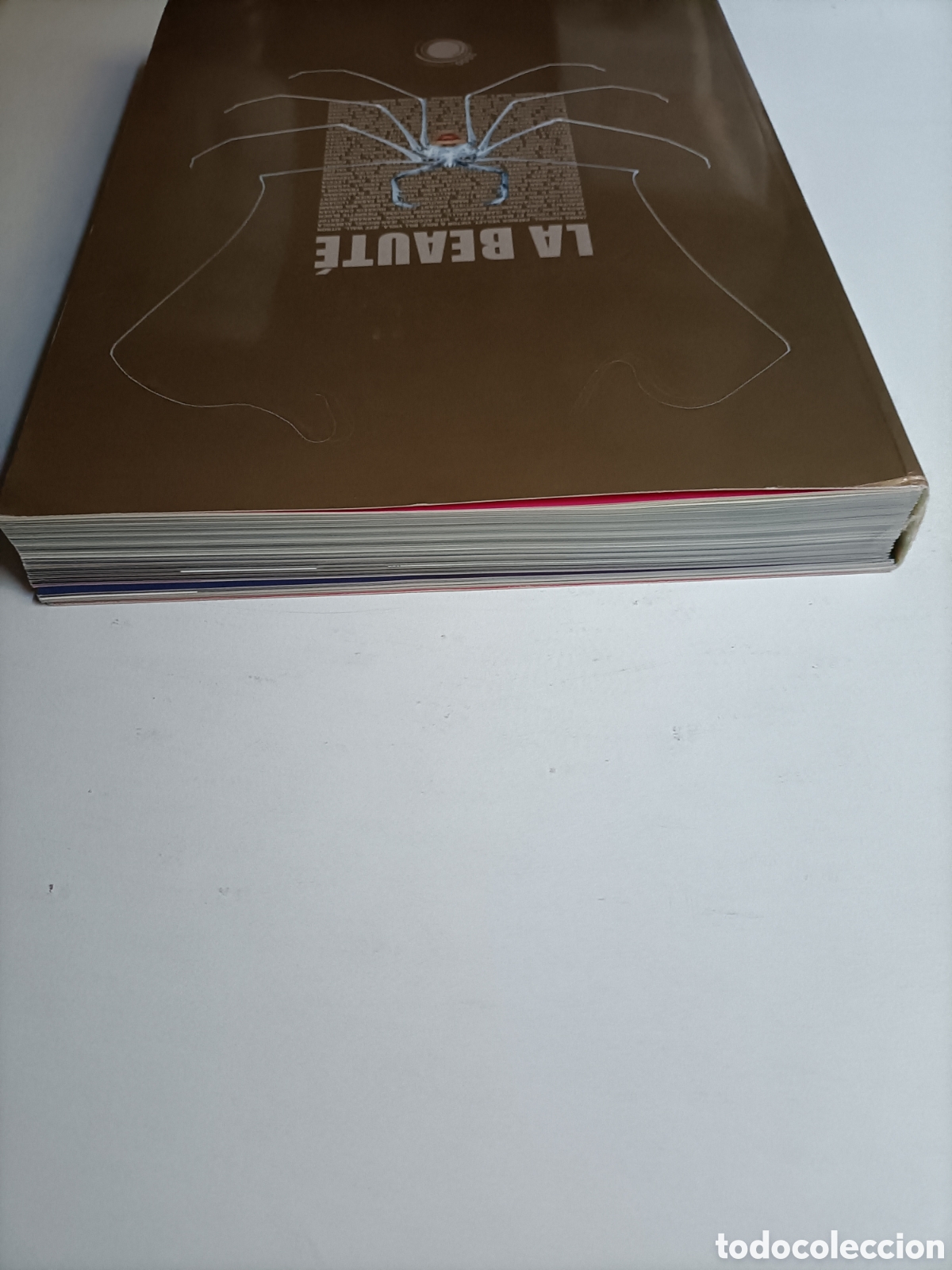Libros de segunda mano: La beaute. Texto en franc&eacute;s exposici&oacute;n Avi&ntilde;&oacute;n. La belleza - Foto 6